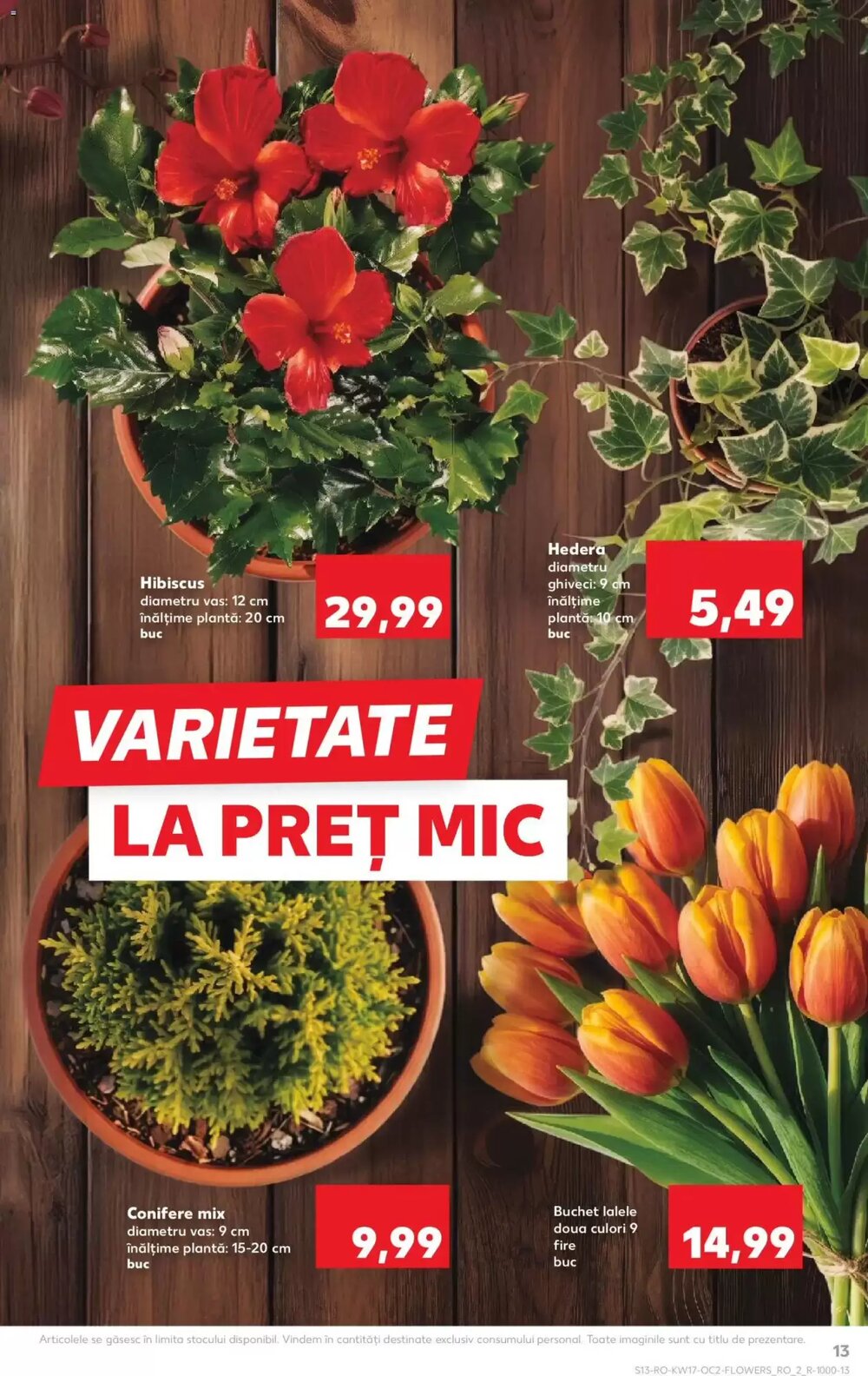 Catalogul cu oferte Kaufland valabil de la 22.04.2026 - Pagina 13.
