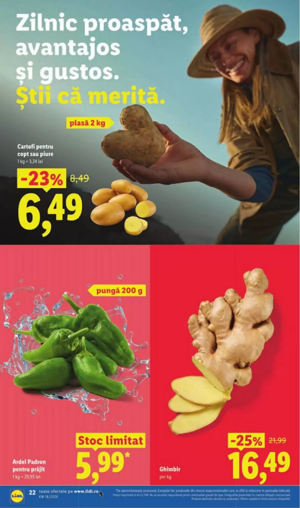 Catalogul cu oferte Lidl valabil de la 27.04.2026 - Pagina 22.