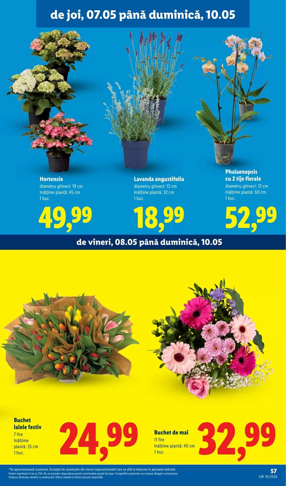 Catalogul cu oferte Lidl valabil de la 04.05.2026 - Pagina 57.