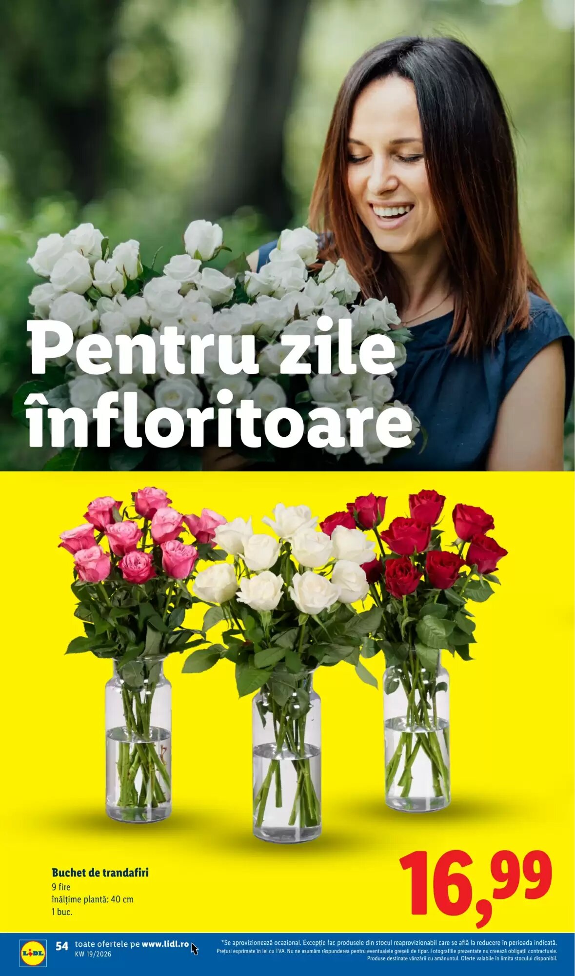 Catalogul cu oferte Lidl valabil de la 04.05.2026 - Pagina 54.
