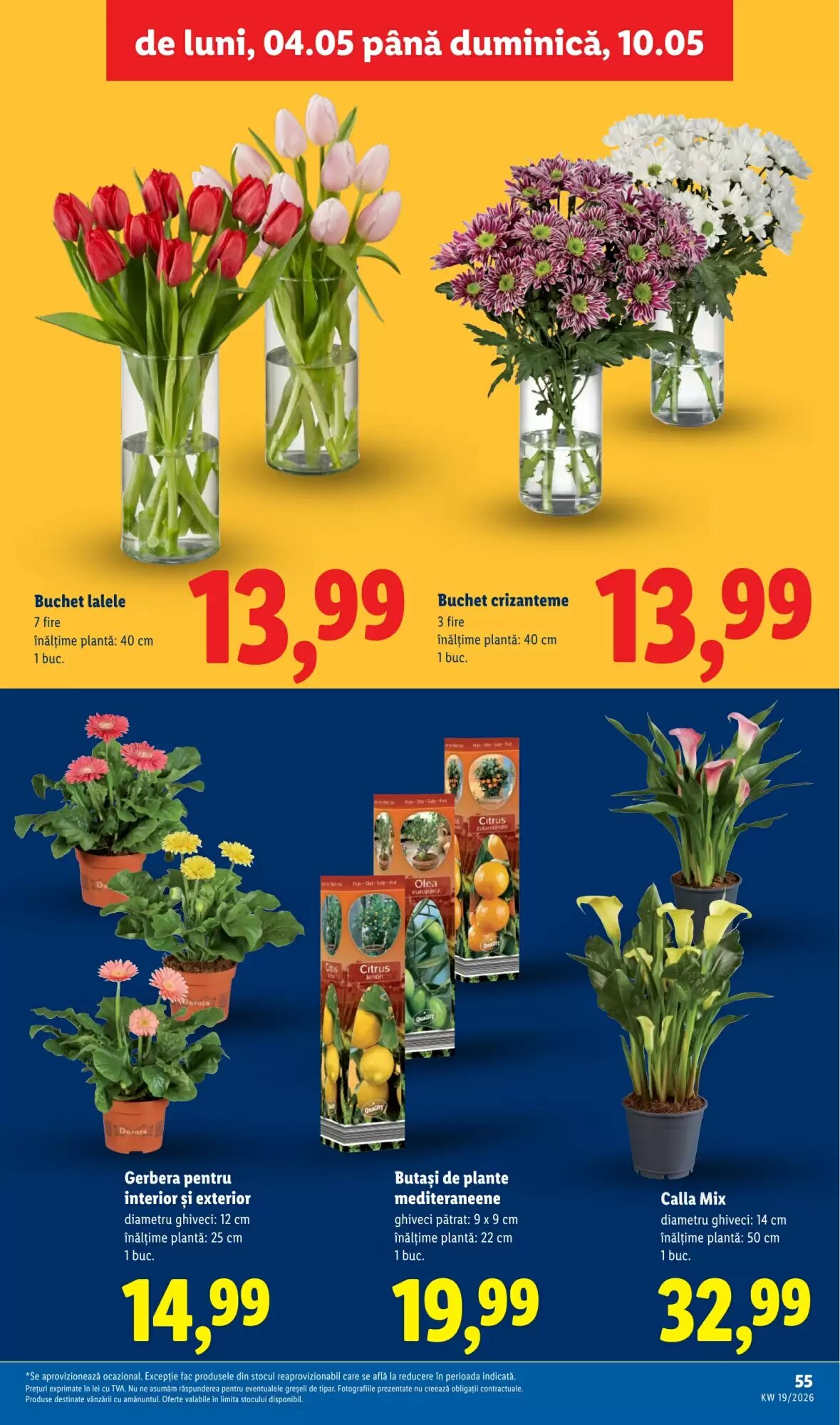 Catalogul cu oferte Lidl valabil de la 04.05.2026 - Pagina 55.