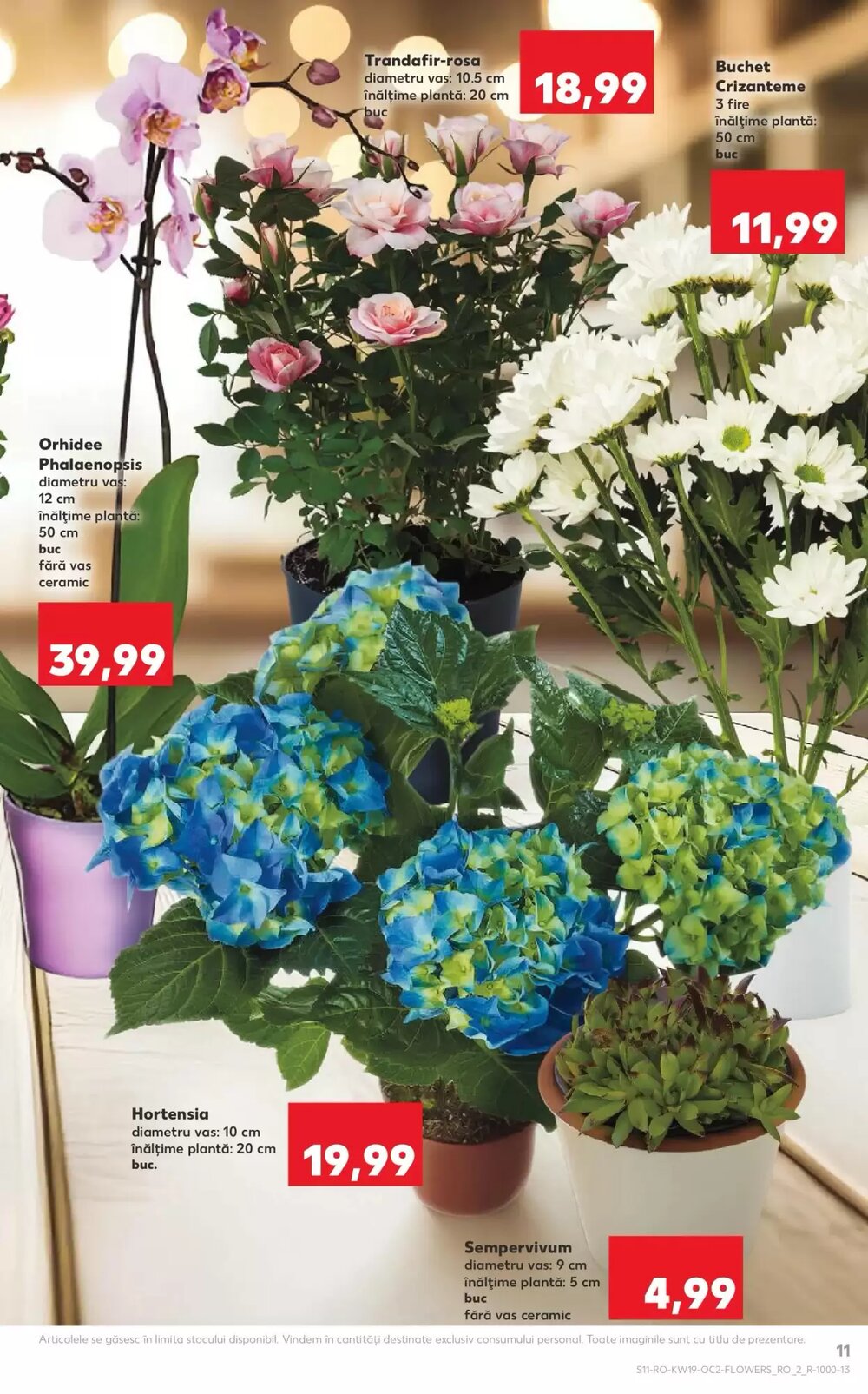Catalogul cu oferte Kaufland valabil de la 06.05.2026 - Pagina 11.