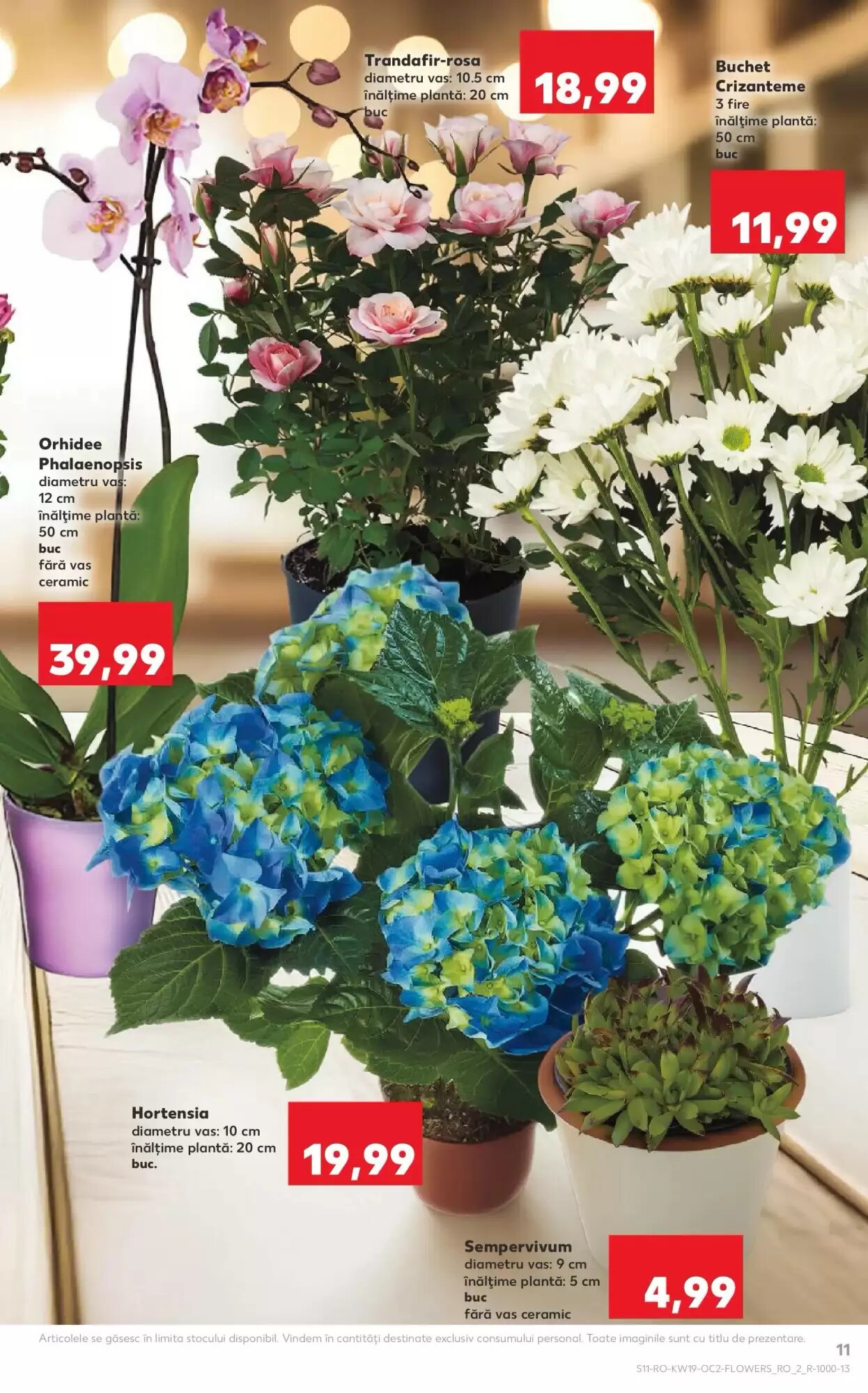 Catalogul cu oferte Kaufland valabil de la 06.05.2026 - Pagina 11.