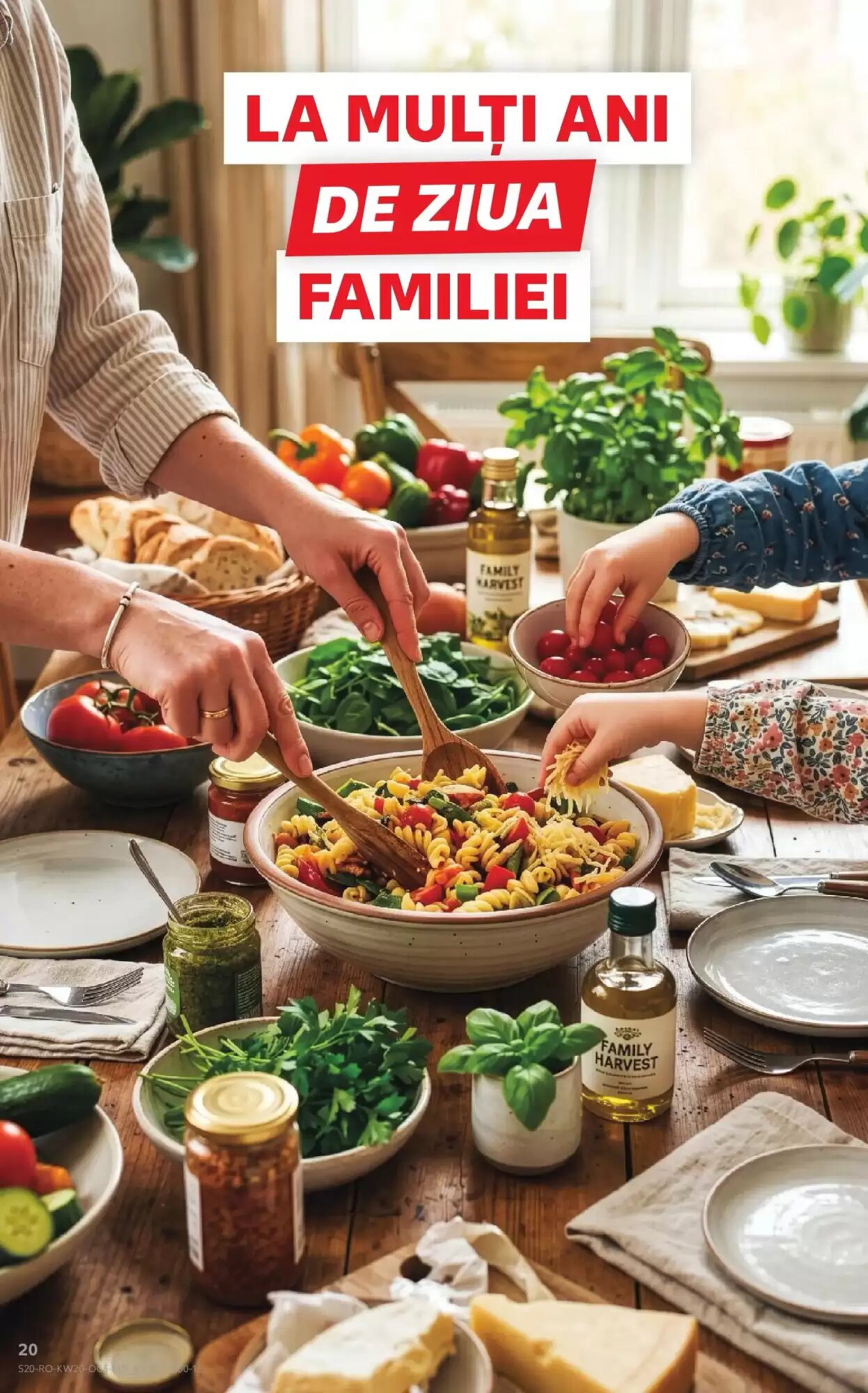 Catalogul cu oferte Kaufland valabil de la 13.05.2026 - Pagina 20.