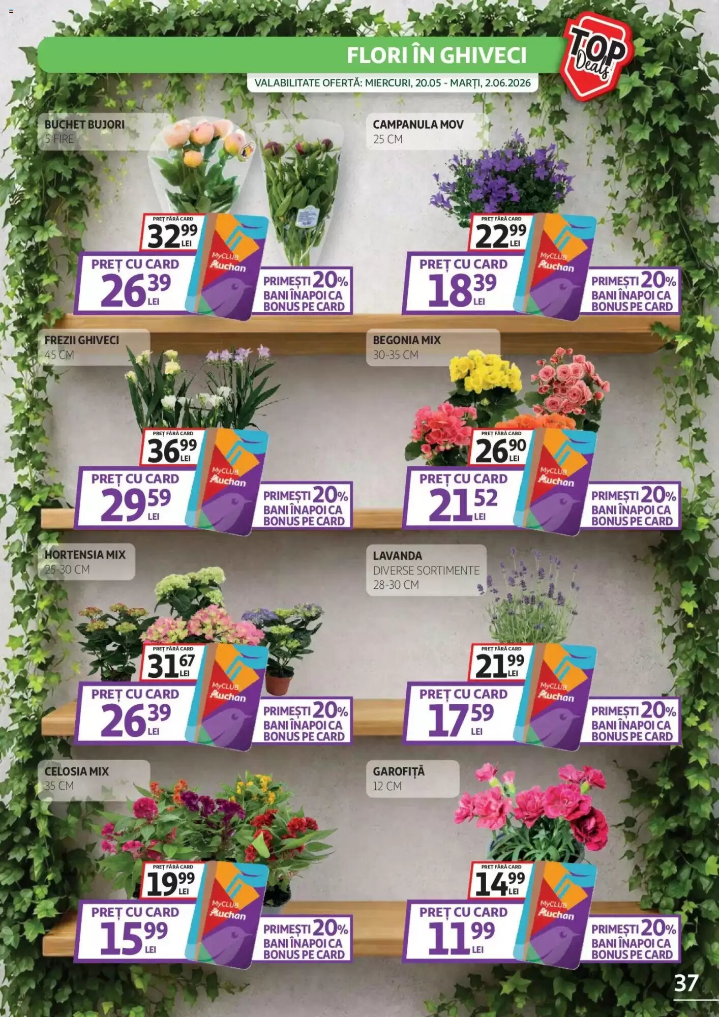 Catalogul cu oferte Auchan valabil de la 20.05.2026 - Pagina 37.
