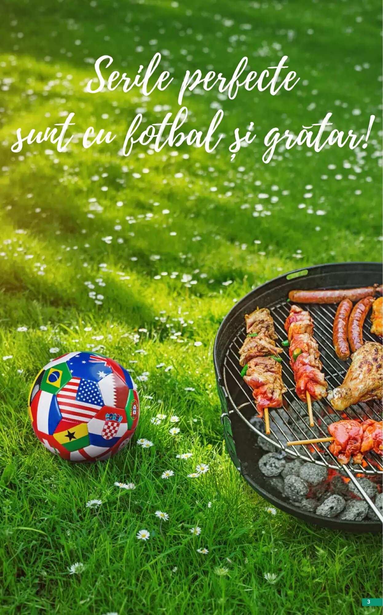 Catalogul cu oferte Selgros valabil de la 29.05.2026 - Pagina 3.