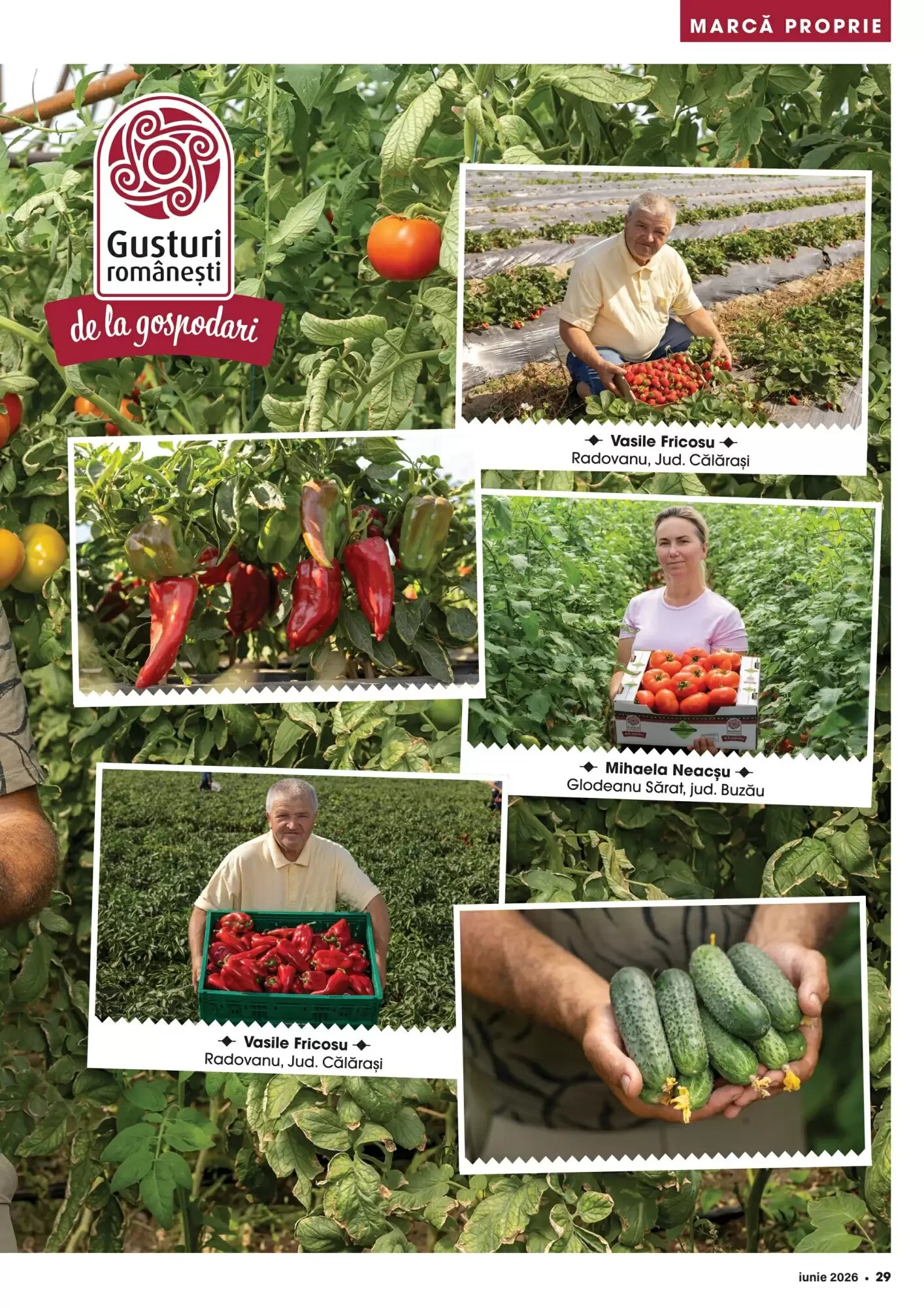 Catalogul cu oferte Mega Image valabil de la 01.06.2026 - Pagina 29.