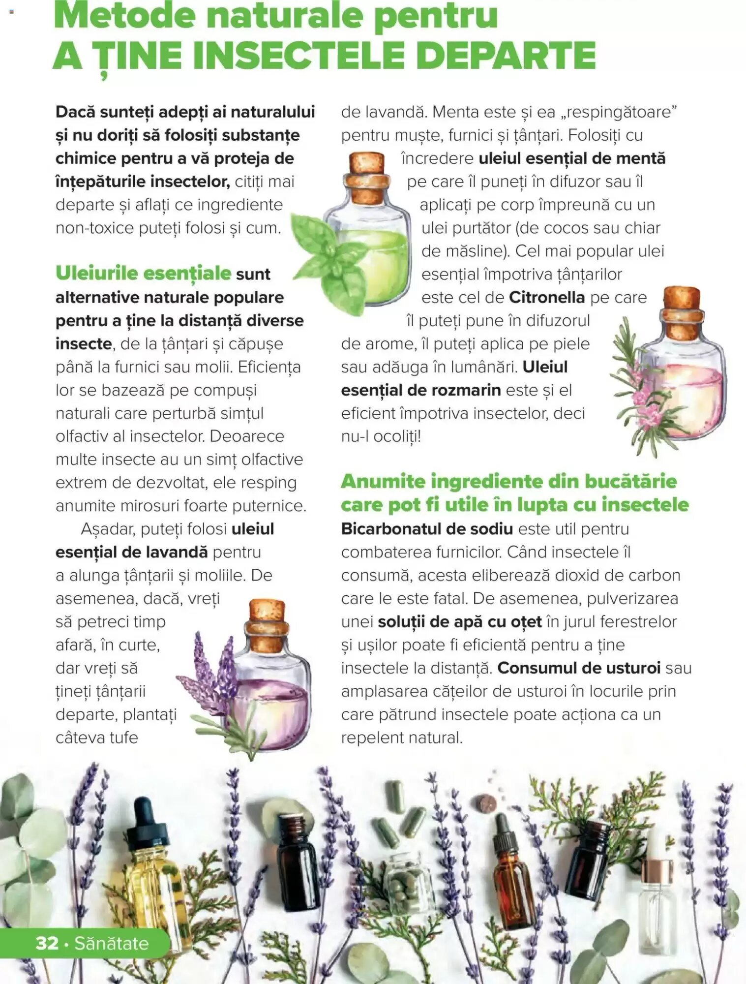Catalogul cu oferte Dr.Max valabil de la 01.06.2026 - Pagina 31.