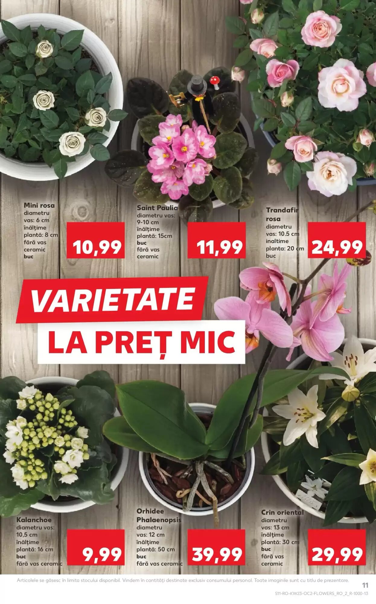 Catalogul cu oferte Kaufland valabil de la 03.06.2026 - Pagina 11.