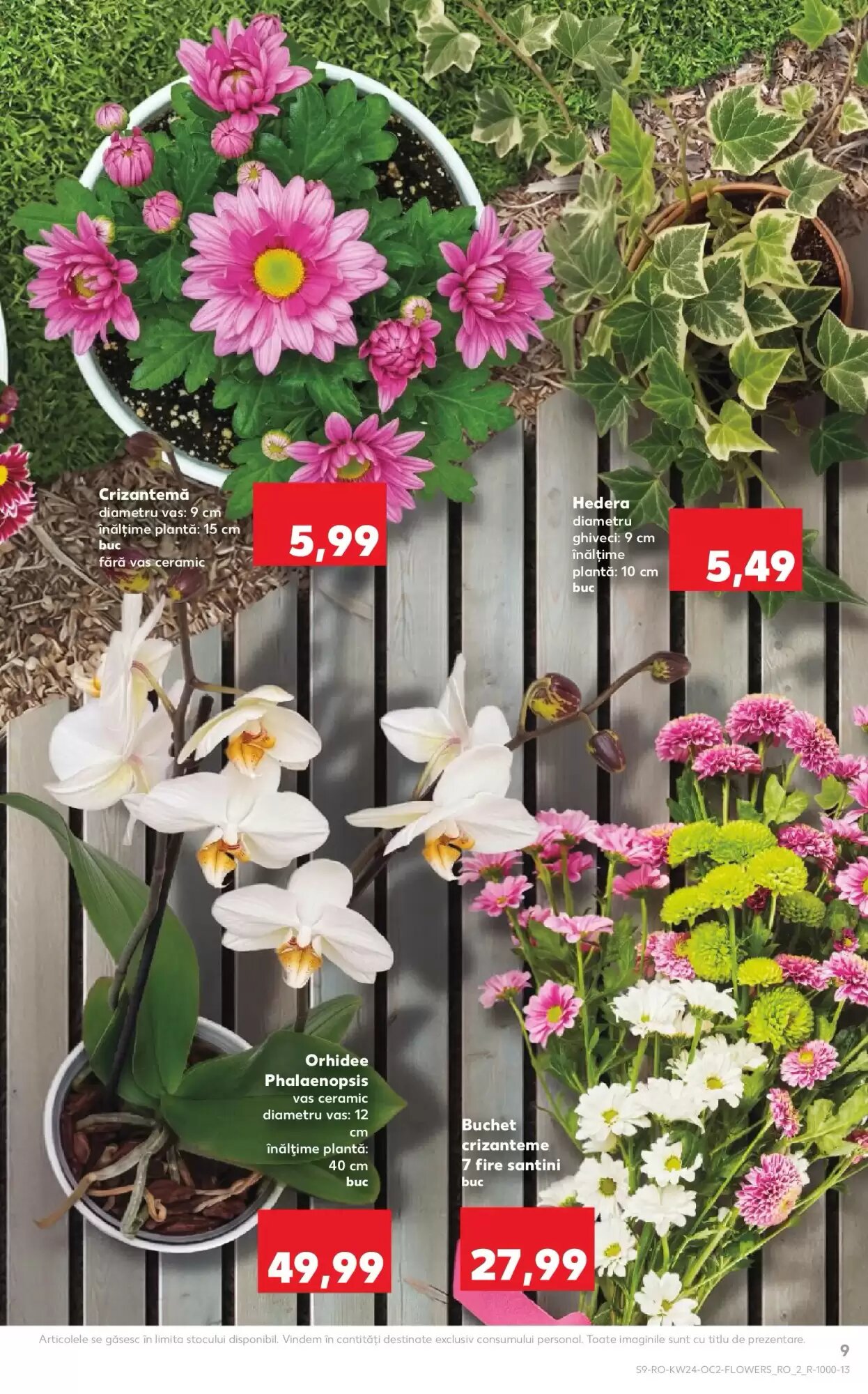 Catalogul cu oferte Kaufland valabil de la 10.06.2026 - Pagina 9.