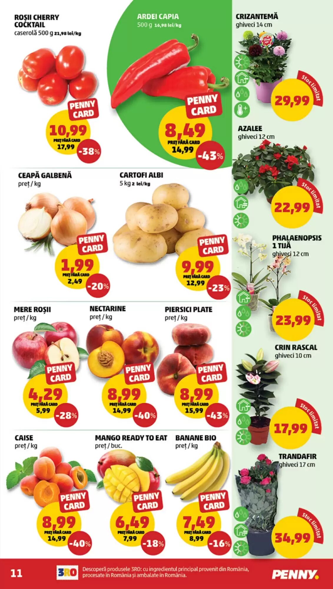 Catalogul cu oferte Penny valabil de la 10.06.2026 - Pagina 11.