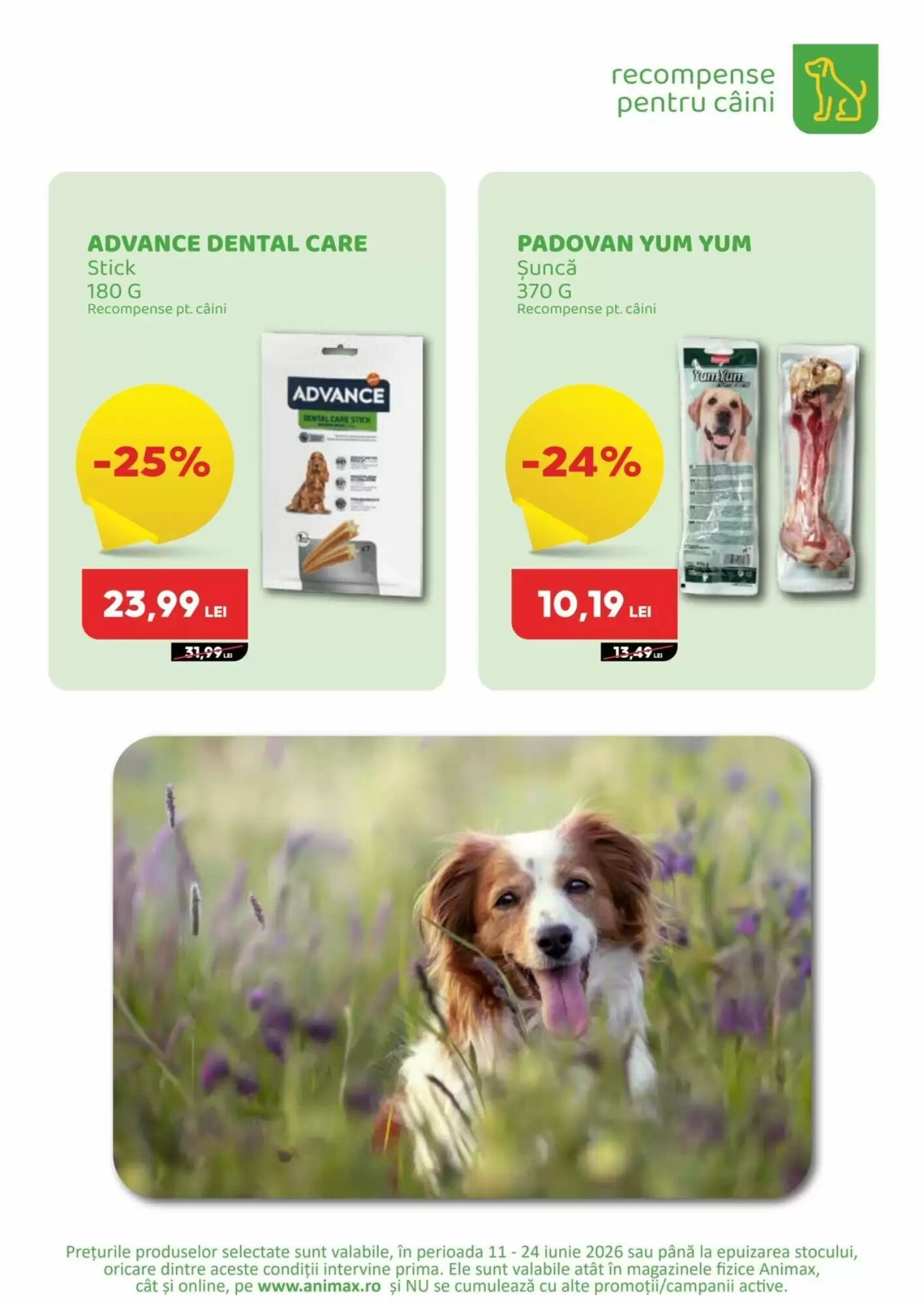 Catalogul cu oferte Animax valabil de la 11.06.2026 - Pagina 15.