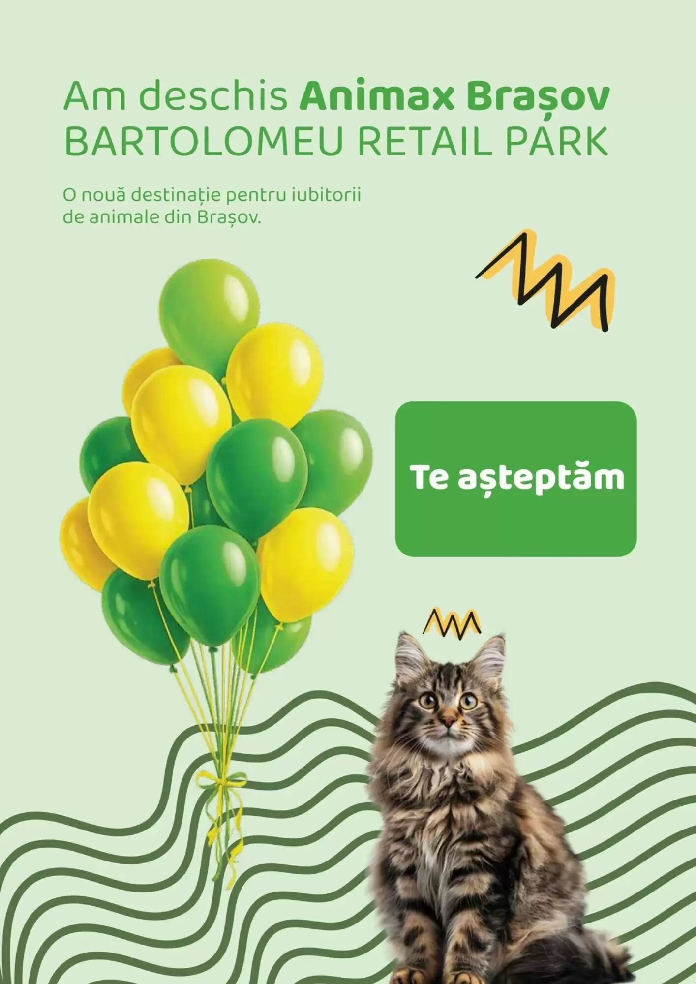 Catalogul cu oferte Animax valabil de la 11.06.2026 - Pagina 41.