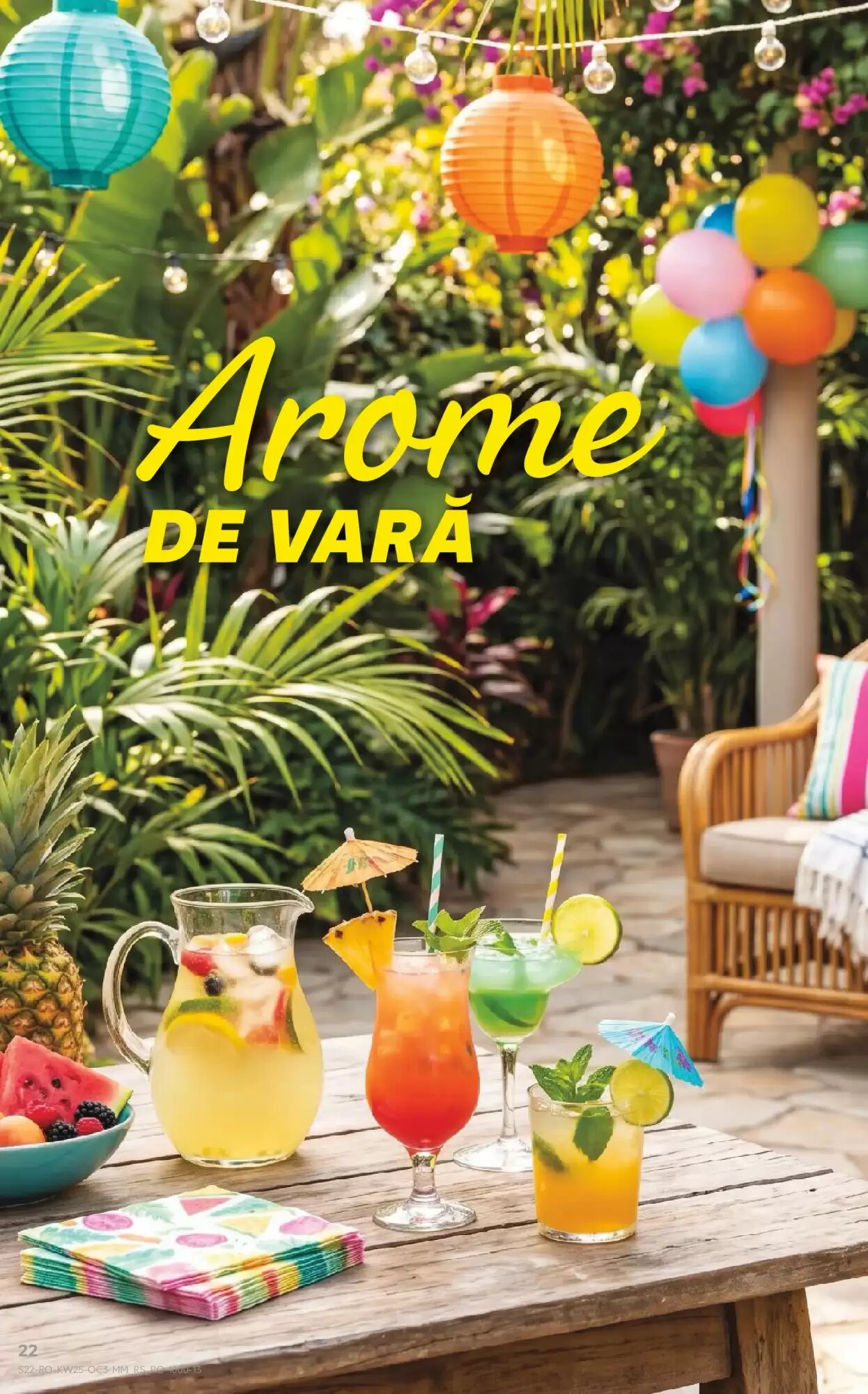 Catalogul cu oferte Kaufland valabil de la 17.06.2026 - Pagina 22.