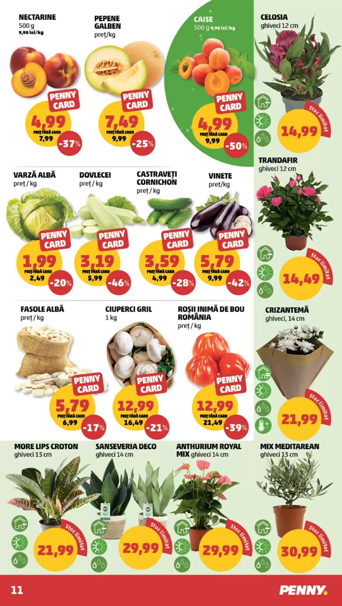 Catalogul cu oferte Penny valabil de la 17.06.2026 - Pagina 11.