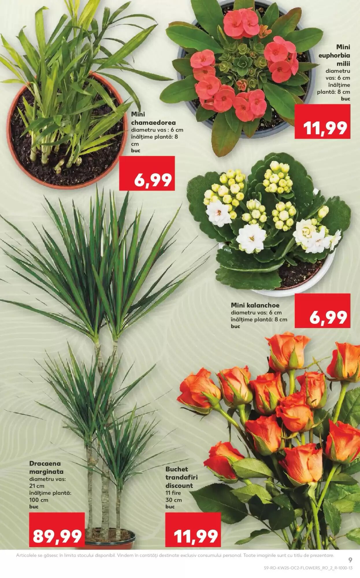Catalogul cu oferte Kaufland valabil de la 17.06.2026 - Pagina 9.