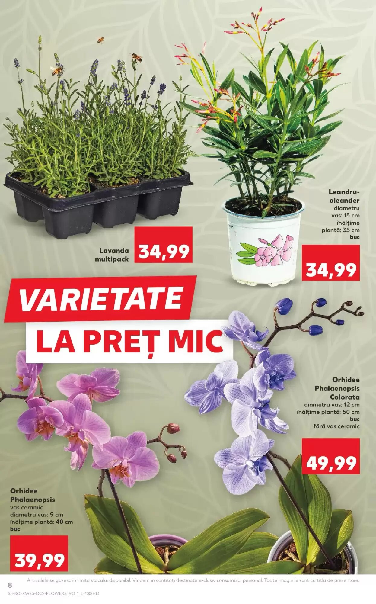 Catalogul cu oferte Kaufland valabil de la 24.06.2026 - Pagina 8.