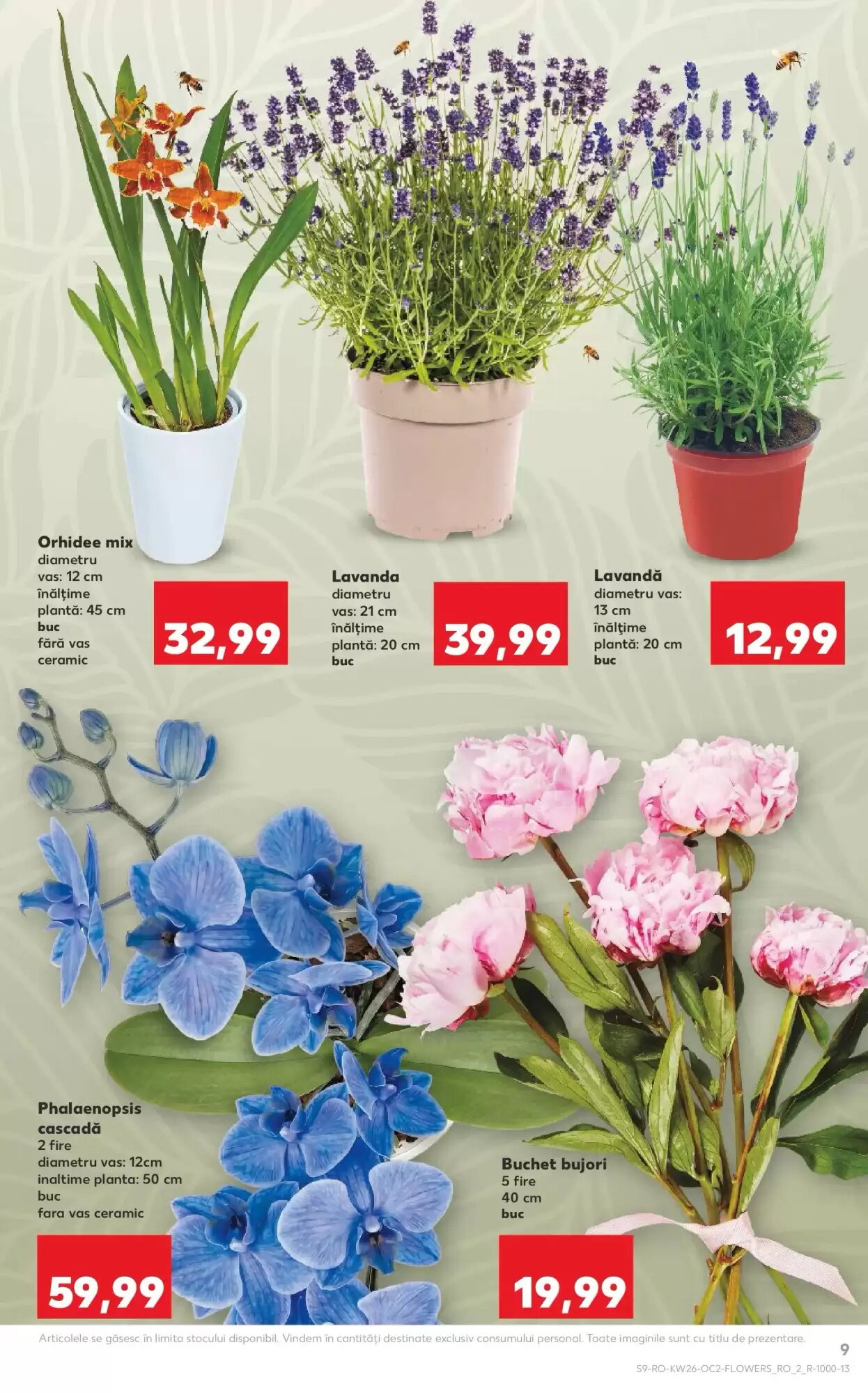 Catalogul cu oferte Kaufland valabil de la 24.06.2026 - Pagina 9.