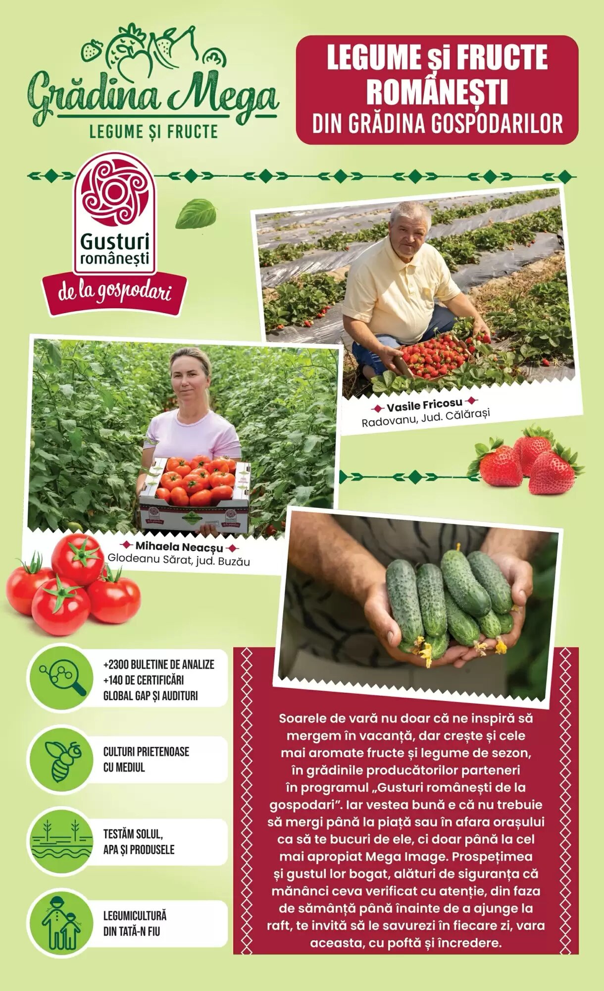 Catalogul cu oferte Mega Image valabil de la 25.06.2026 - Pagina 11.