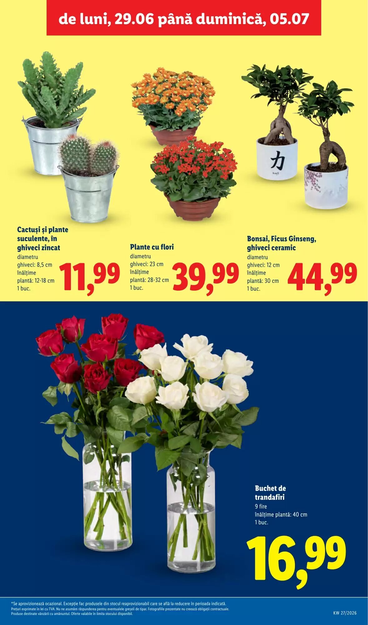 Catalogul cu oferte Lidl valabil de la 29.06.2026 - Pagina 55.