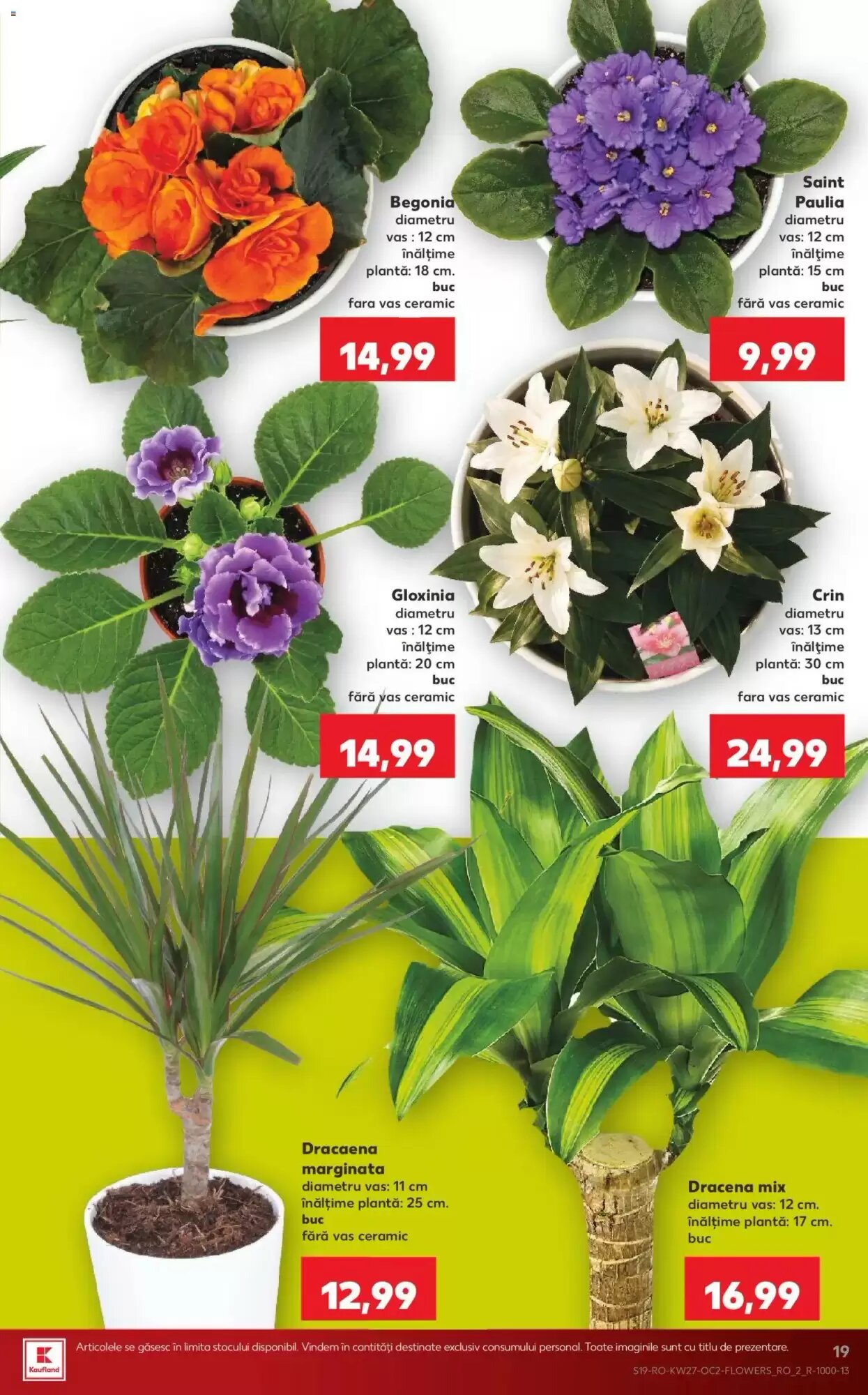 Catalogul cu oferte Kaufland valabil de la 01.07.2026 - Pagina 19.