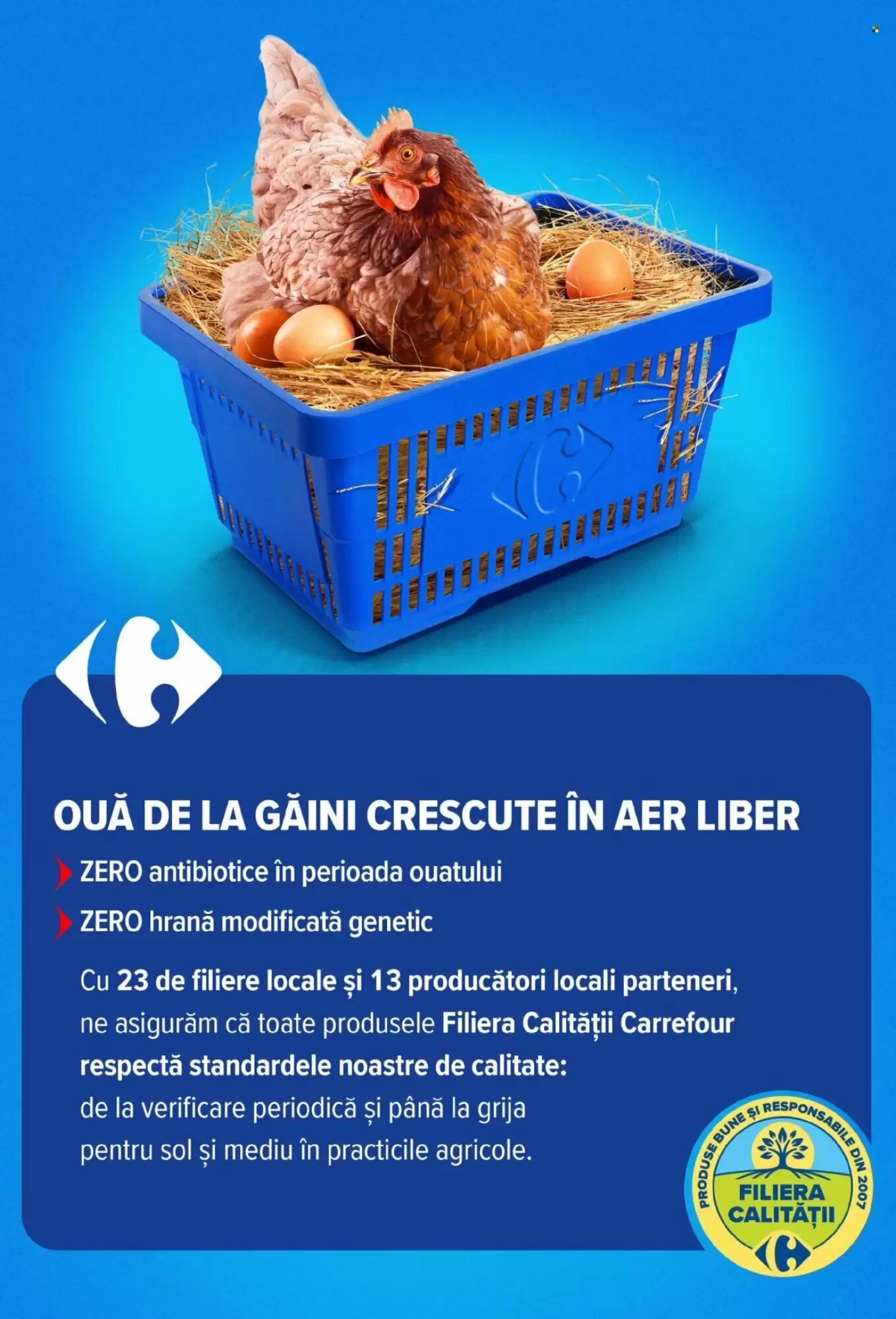 Catalogul cu oferte Carrefour Market valabil de la 01.07.2026 - Pagina 43.