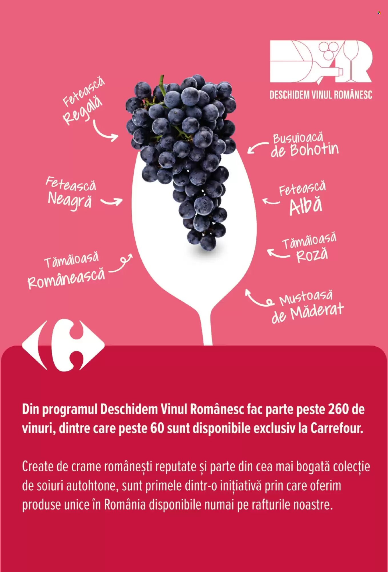 Catalogul cu oferte Carrefour valabil de la 01.07.2026 - Pagina 26.
