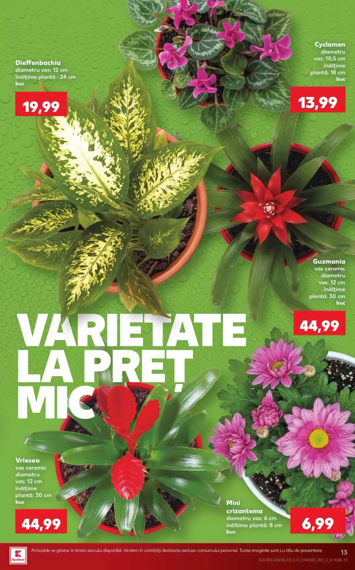 Catalogul cu oferte Kaufland valabil de la 08.07.2026 - Pagina 13.