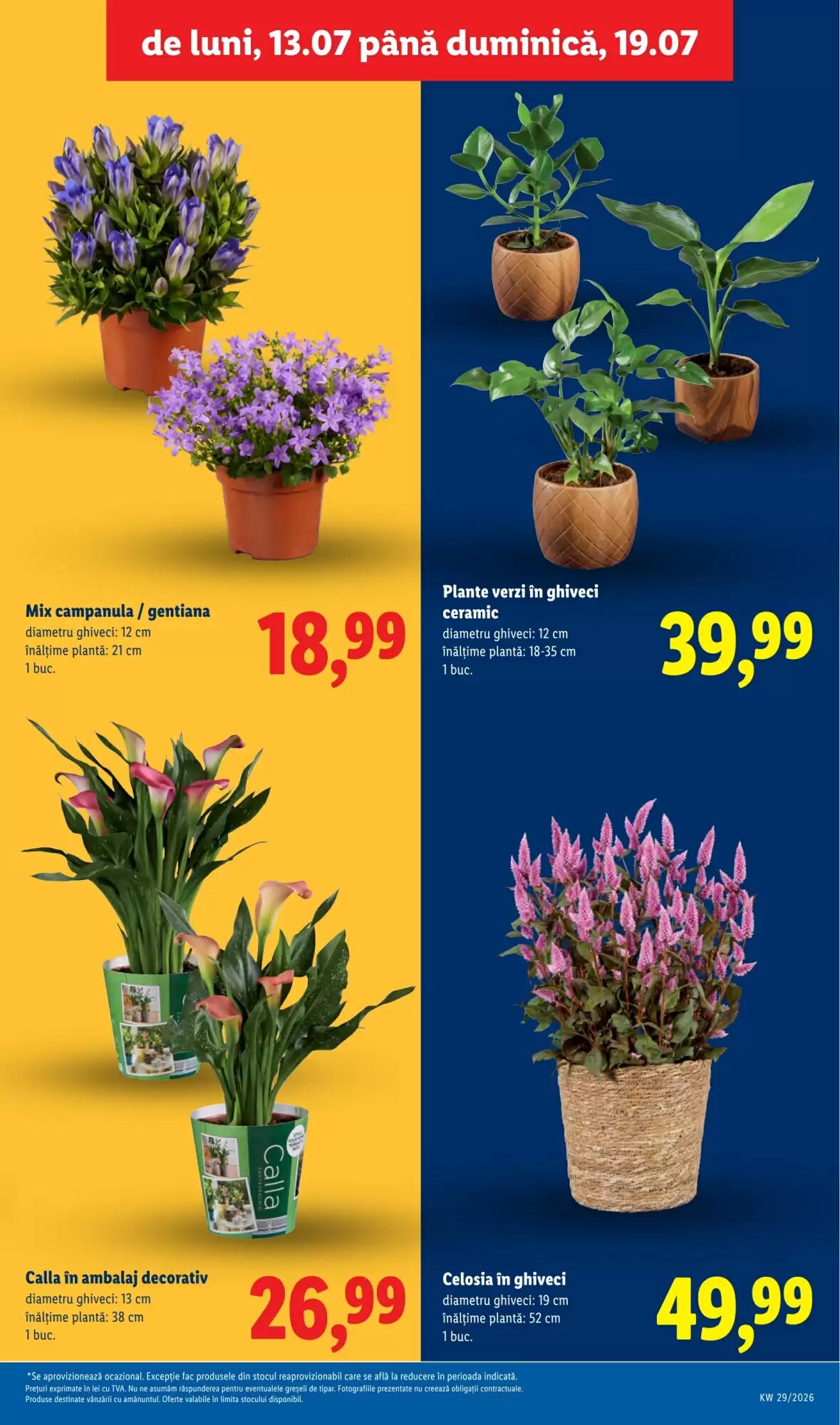 Catalogul cu oferte Lidl valabil de la 13.07.2026 - Pagina 59.