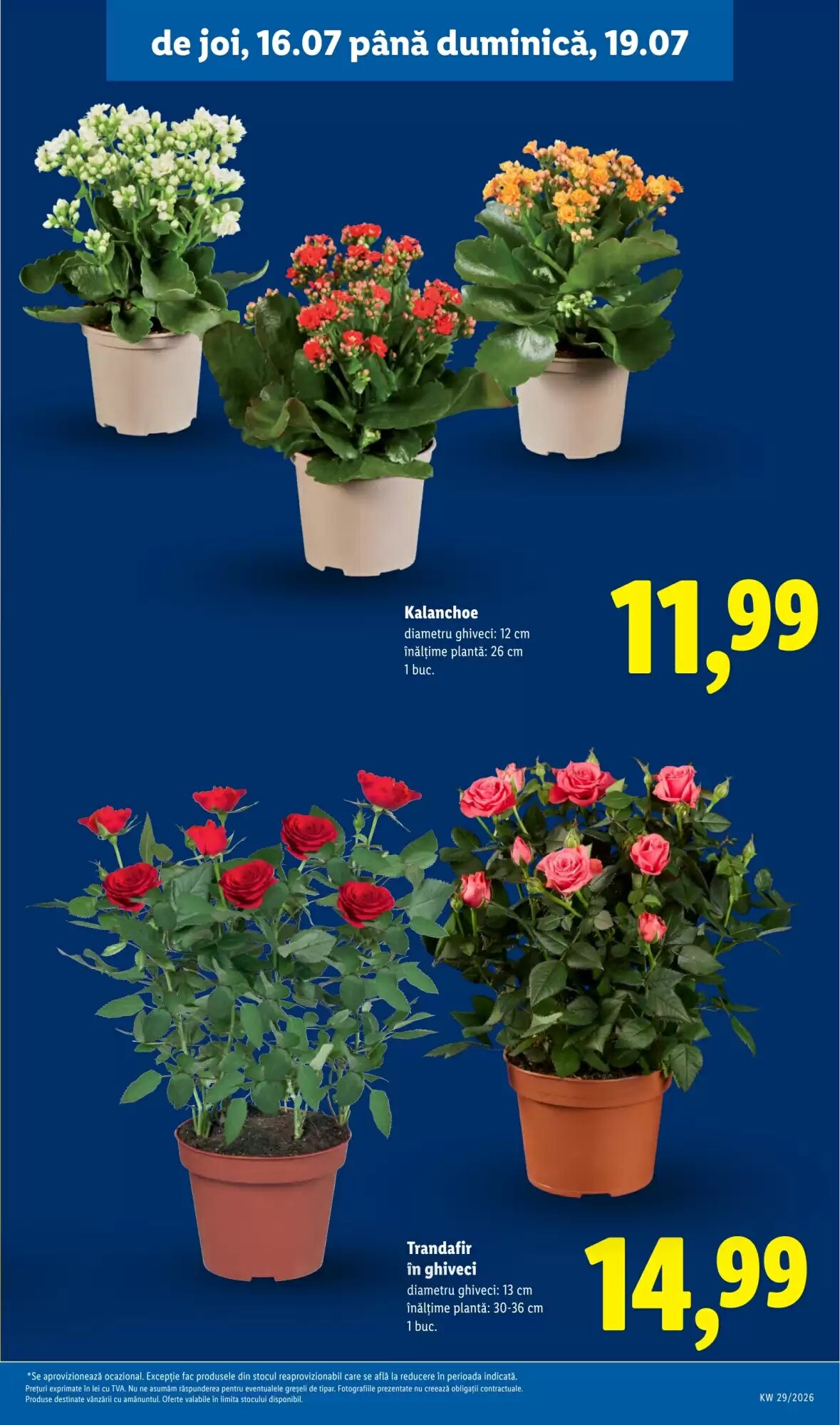 Catalogul cu oferte Lidl valabil de la 13.07.2026 - Pagina 61.