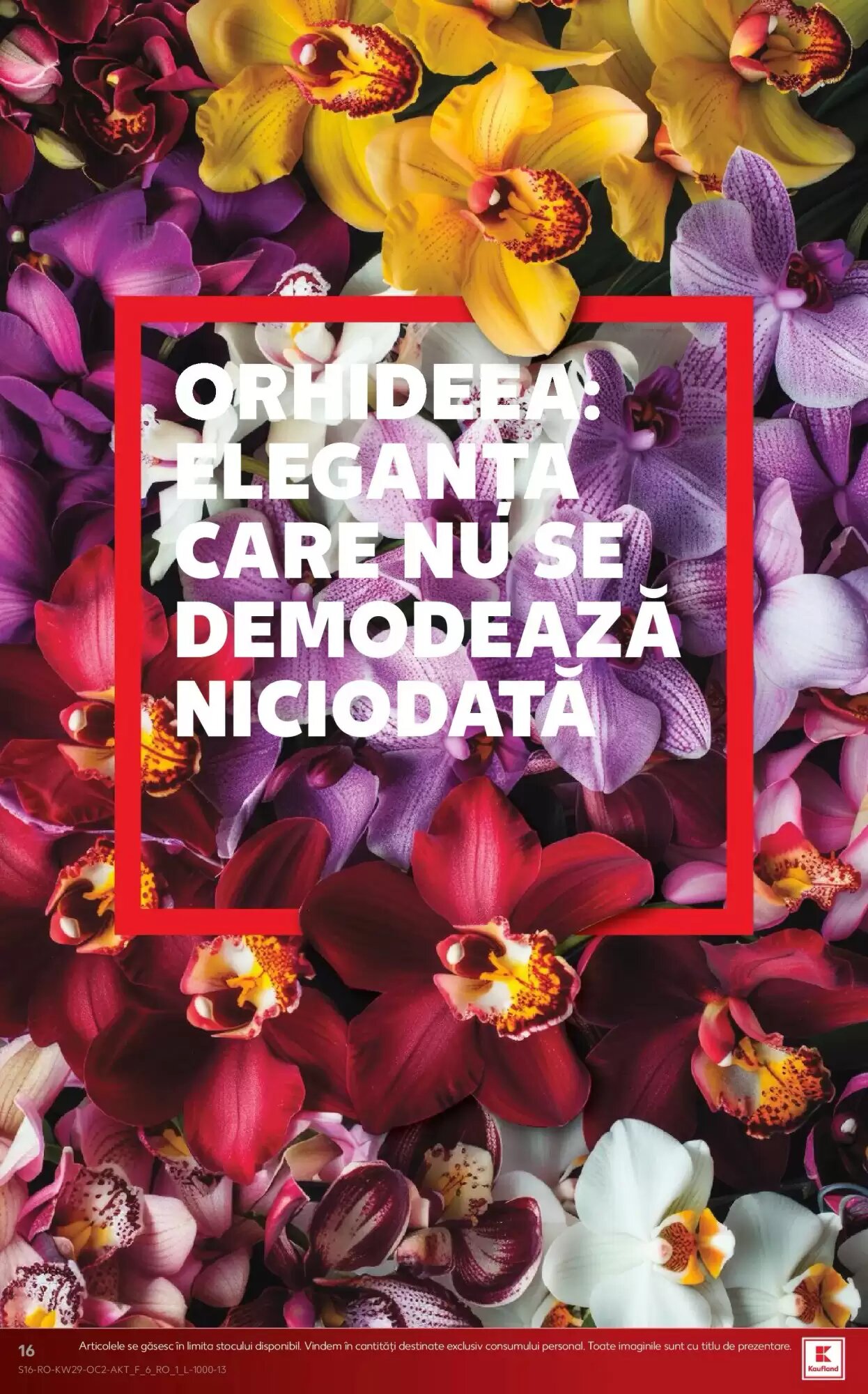 Catalogul cu oferte Kaufland valabil de la 15.07.2026 - Pagina 16.