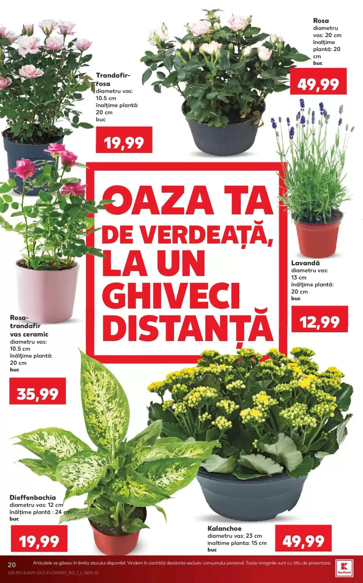 Catalogul cu oferte Kaufland valabil de la 15.07.2026 - Pagina 20.
