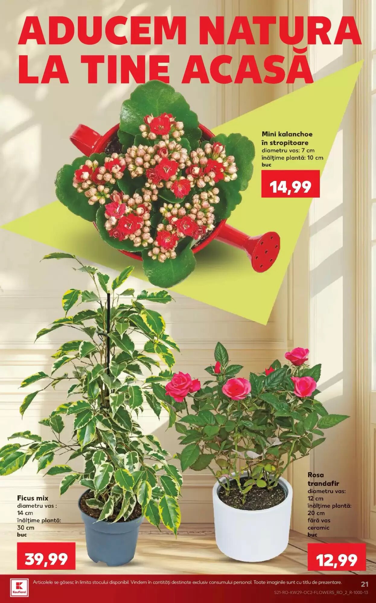 Catalogul cu oferte Kaufland valabil de la 15.07.2026 - Pagina 21.