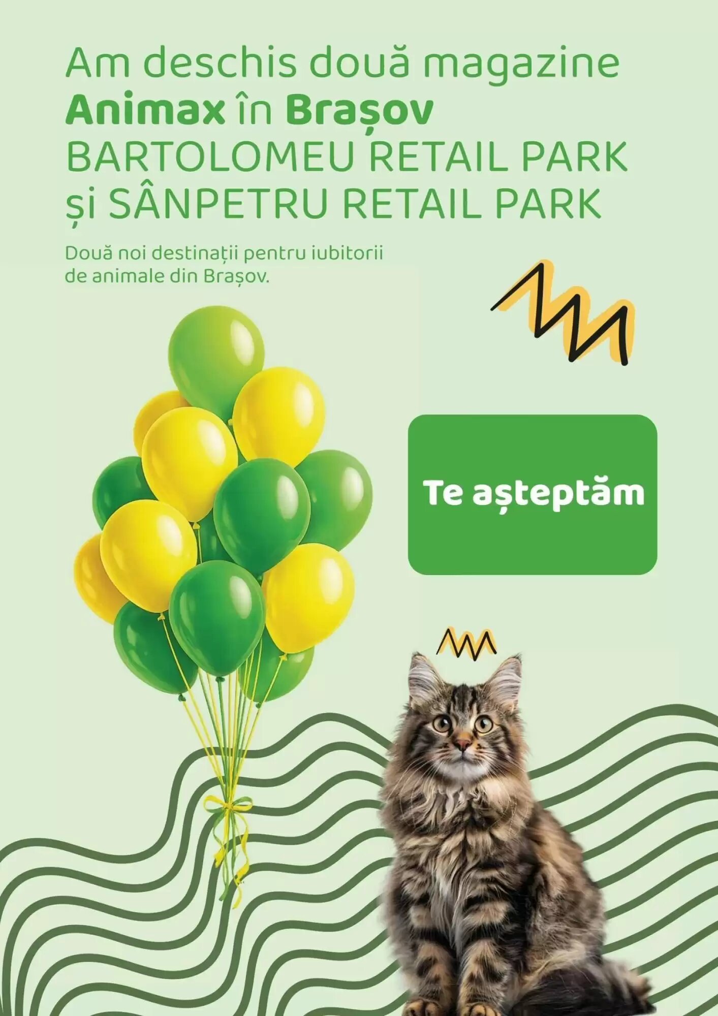 Catalogul cu oferte Animax valabil de la 23.07.2026 - Pagina 22.
