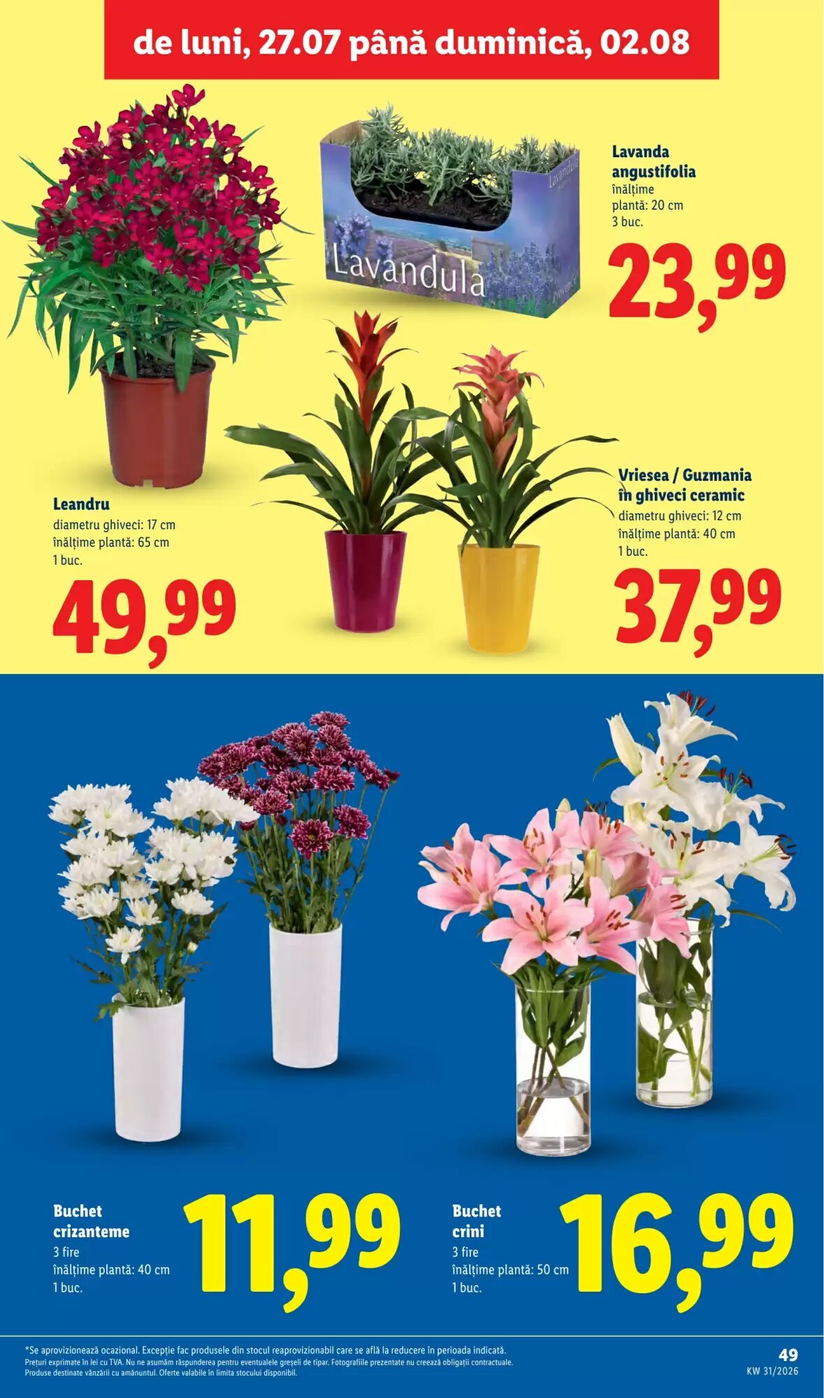 Catalogul cu oferte Lidl valabil de la 27.07.2026 - Pagina 49.