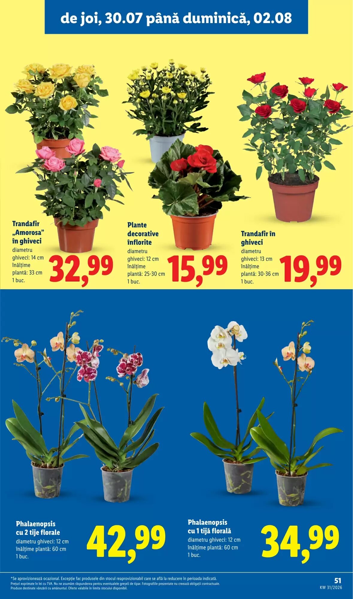 Catalogul cu oferte Lidl valabil de la 27.07.2026 - Pagina 51.
