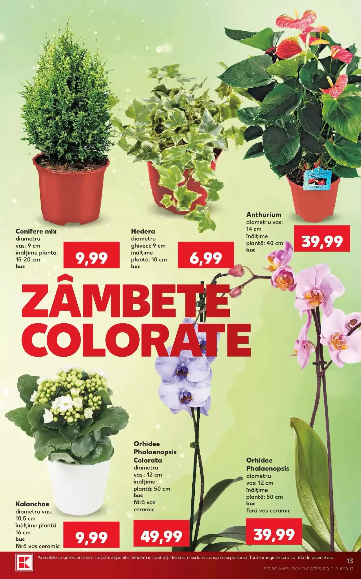 Catalogul cu oferte Kaufland valabil de la 29.07.2026 - Pagina 13.