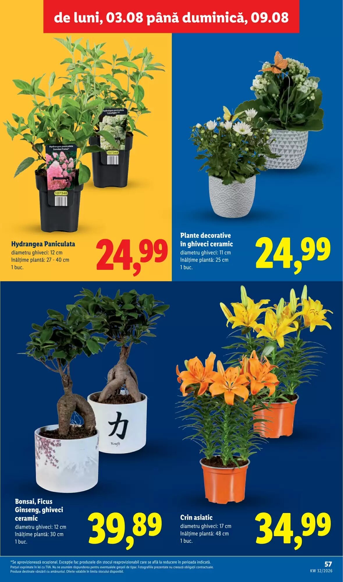 Catalogul cu oferte Lidl valabil de la 03.08.2026 - Pagina 57.