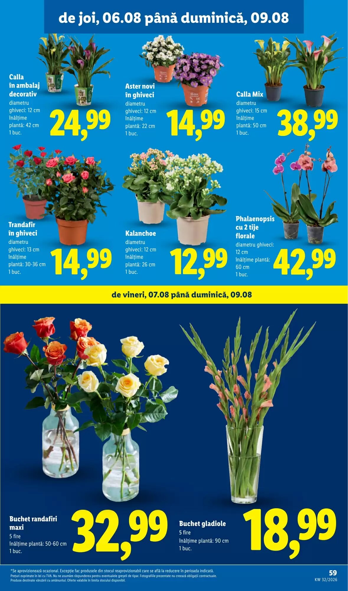Catalogul cu oferte Lidl valabil de la 03.08.2026 - Pagina 59.