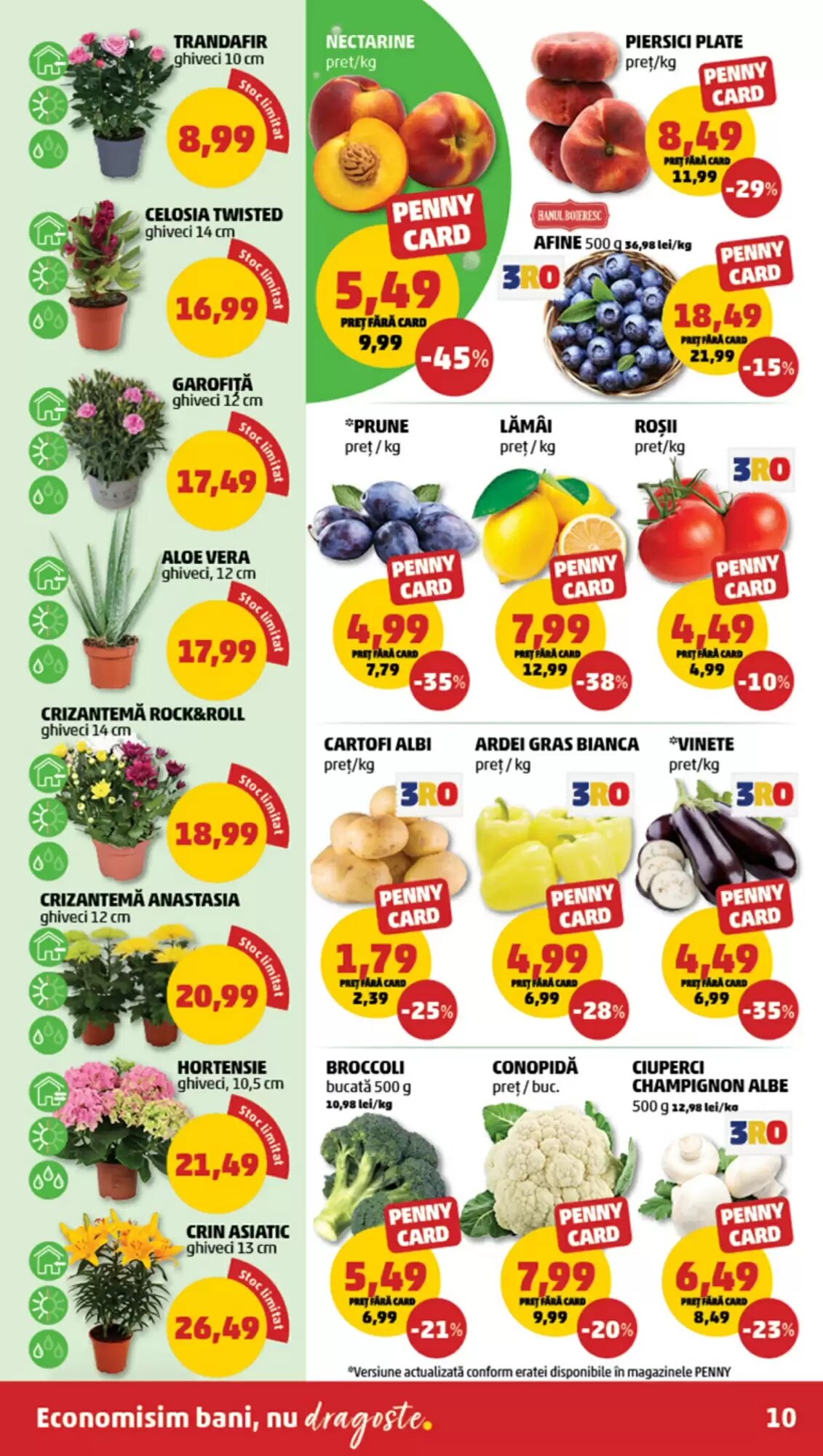 Catalogul cu oferte Penny valabil de la 05.08.2026 - Pagina 10.