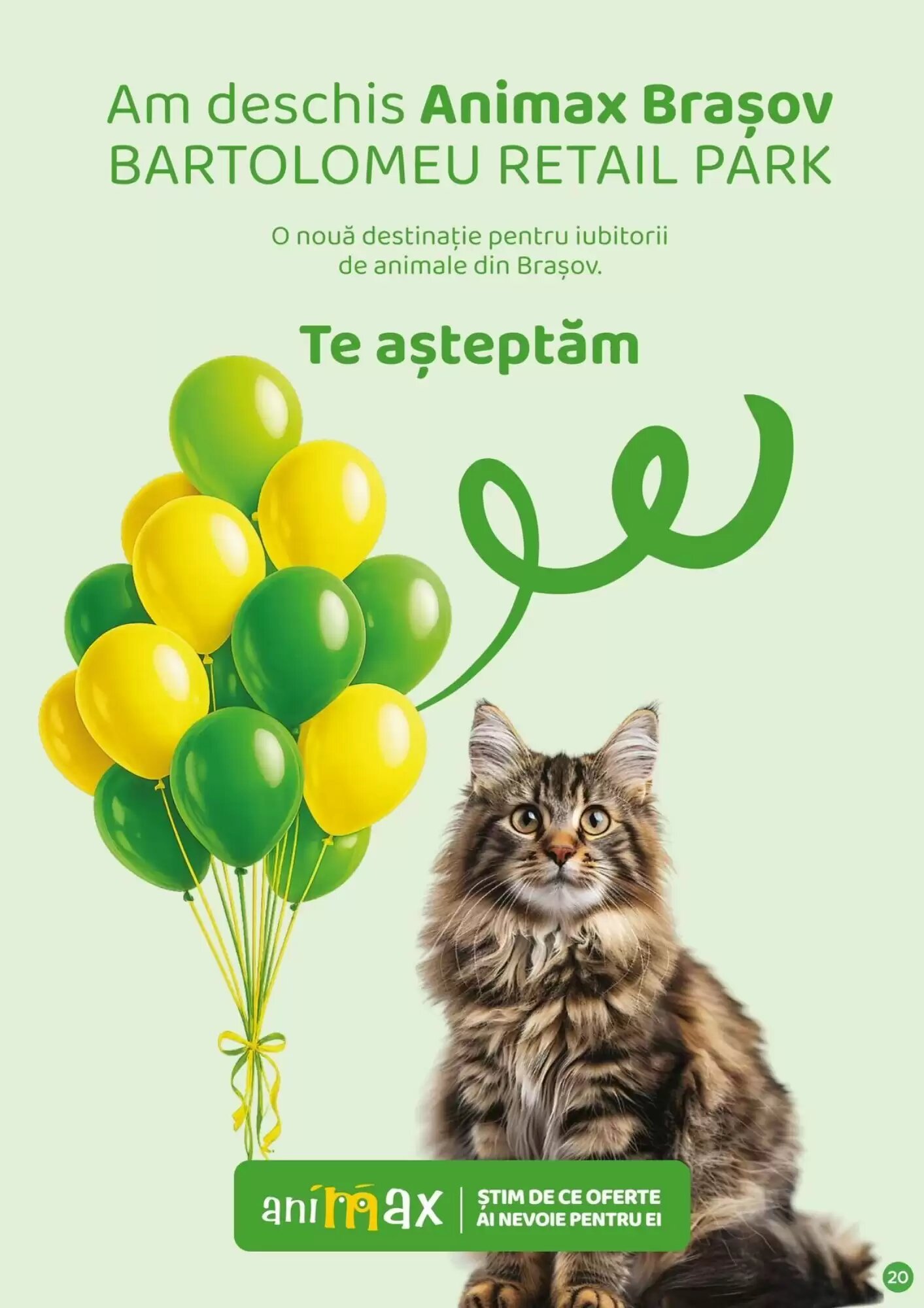 Catalogul cu oferte Animax valabil de la 06.08.2026 - Pagina 21.