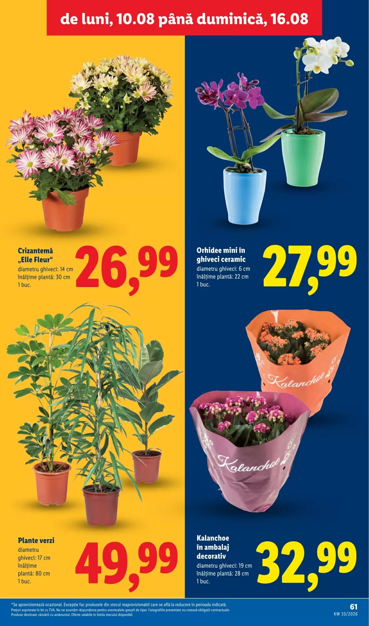 Catalogul cu oferte Lidl valabil de la 10.08.2026 - Pagina 61.