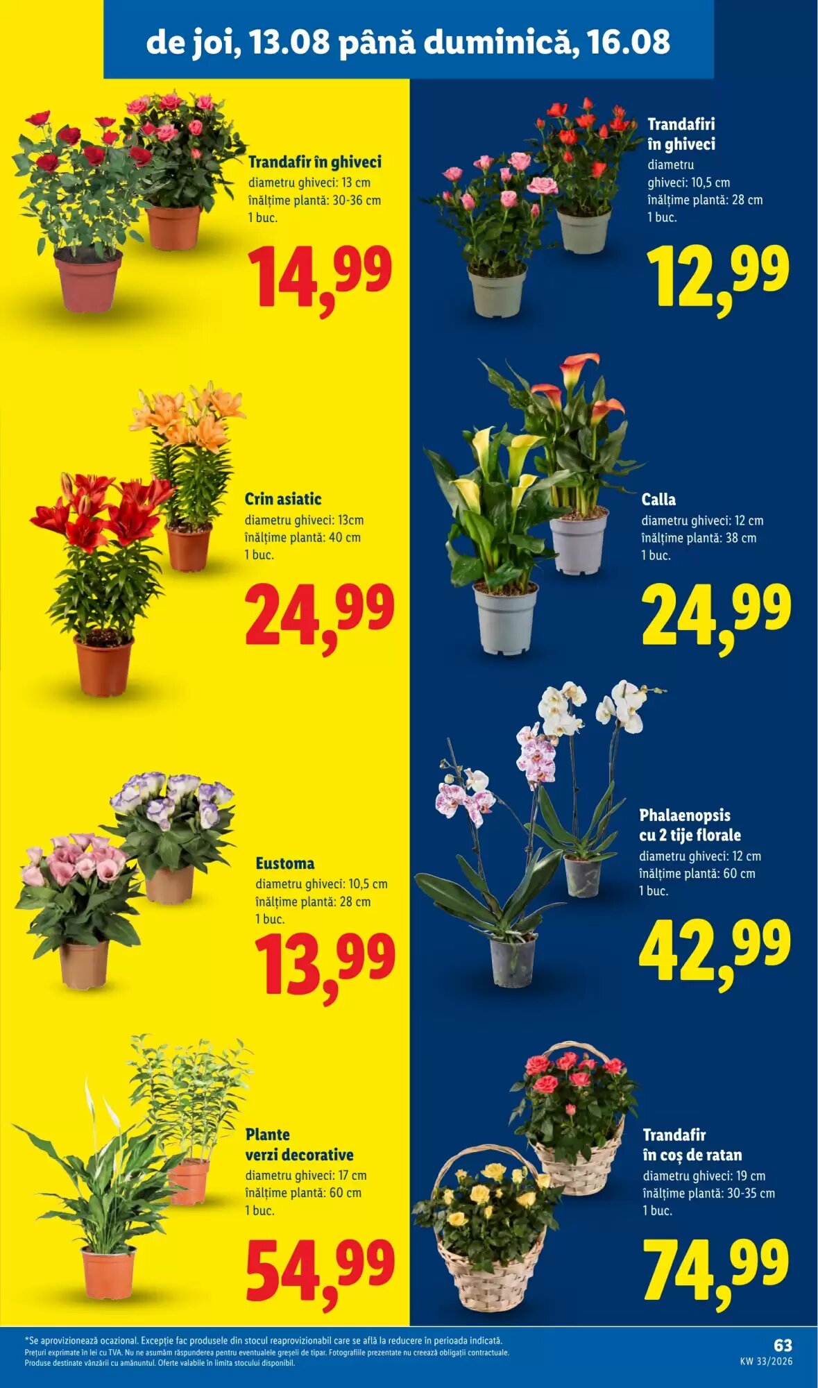 Catalogul cu oferte Lidl valabil de la 10.08.2026 - Pagina 63.