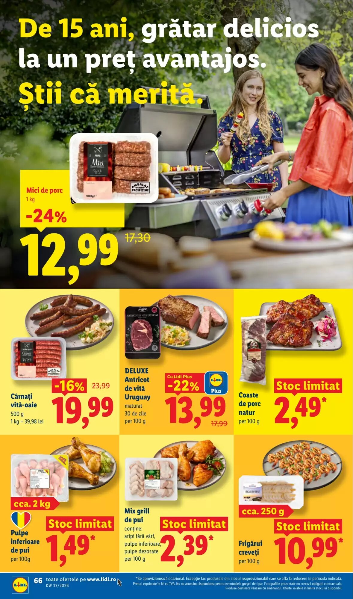 Catalogul cu oferte Lidl valabil de la 10.08.2026 - Pagina 66.