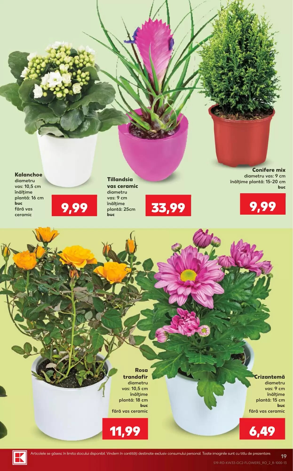Catalogul cu oferte Kaufland valabil de la 12.08.2026 - Pagina 19.