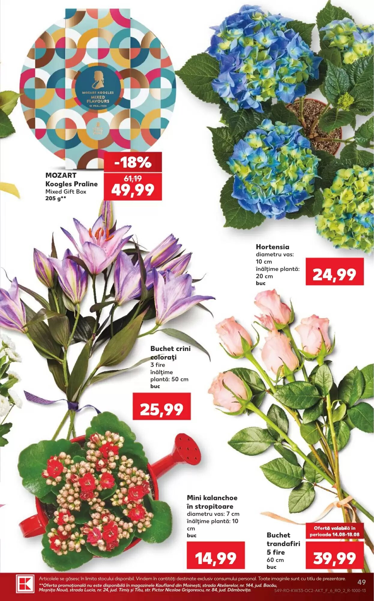 Catalogul cu oferte Kaufland valabil de la 12.08.2026 - Pagina 49.