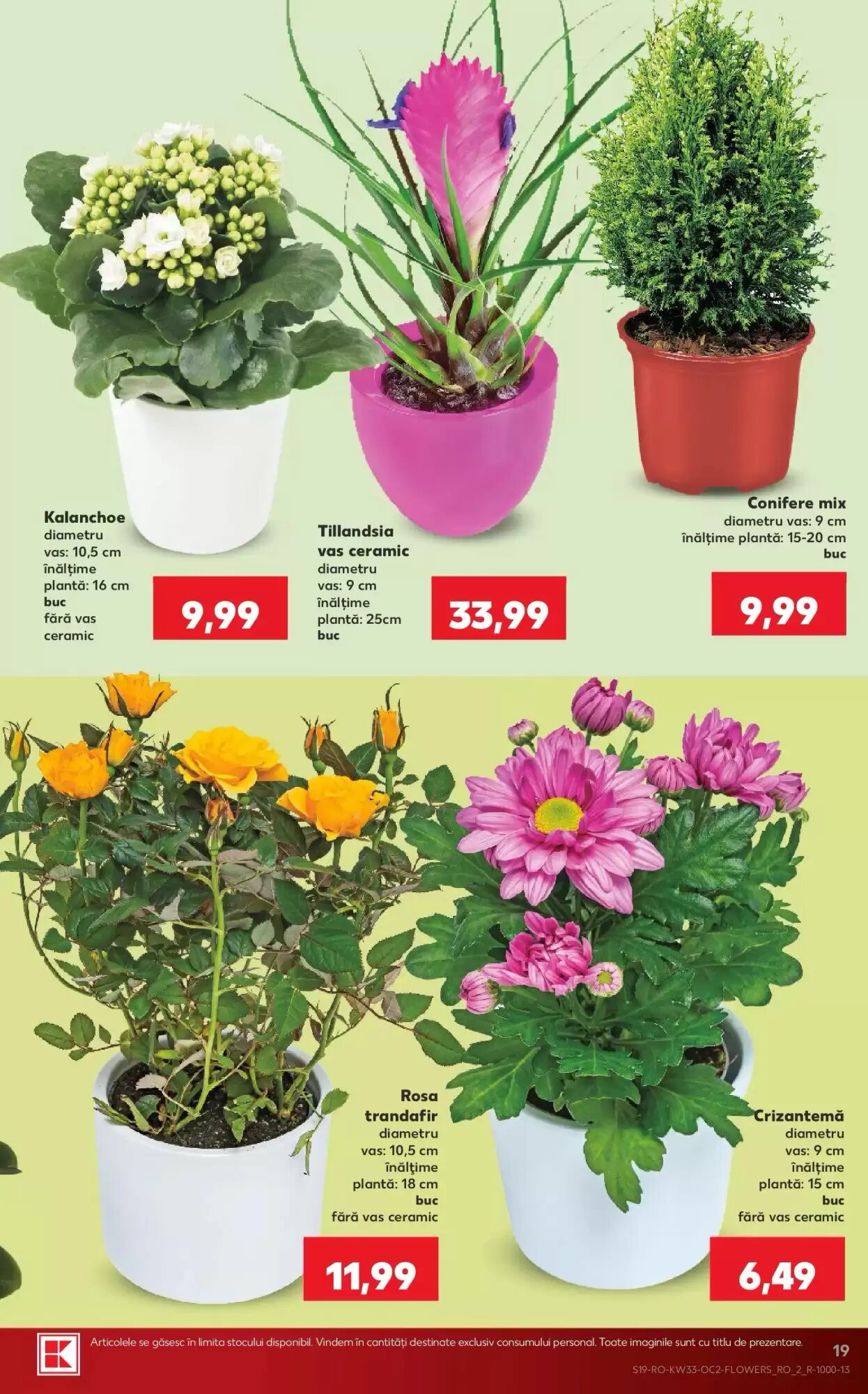 Catalogul cu oferte Kaufland valabil de la 12.08.2026 - Pagina 19.