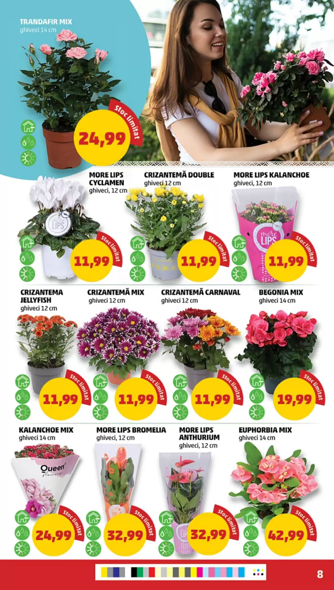 Catalogul cu oferte Penny valabil de la 12.08.2026 - Pagina 8.