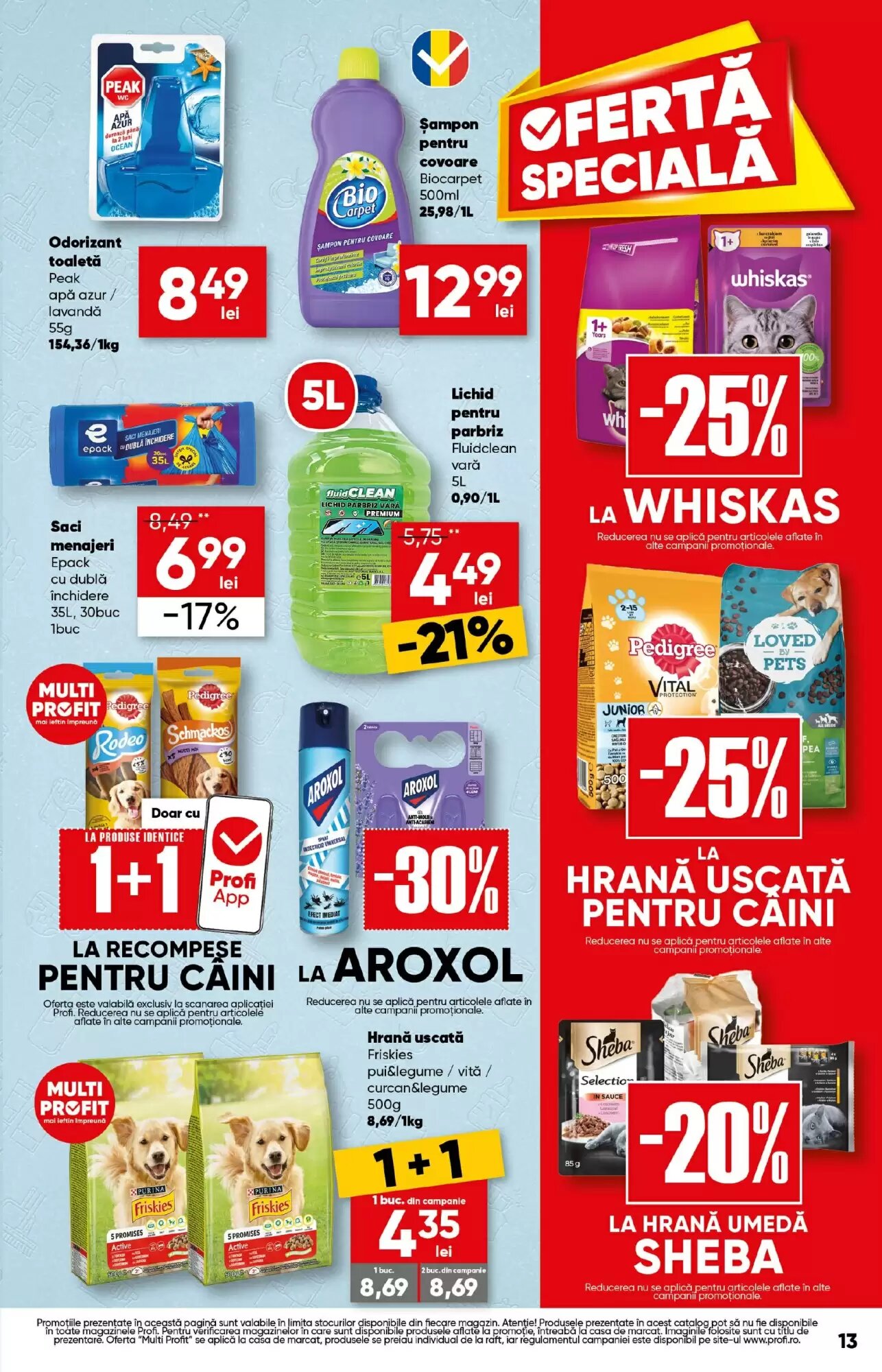 Catalogul cu oferte PROFI valabil de la 13.08.2026 - Pagina 13.