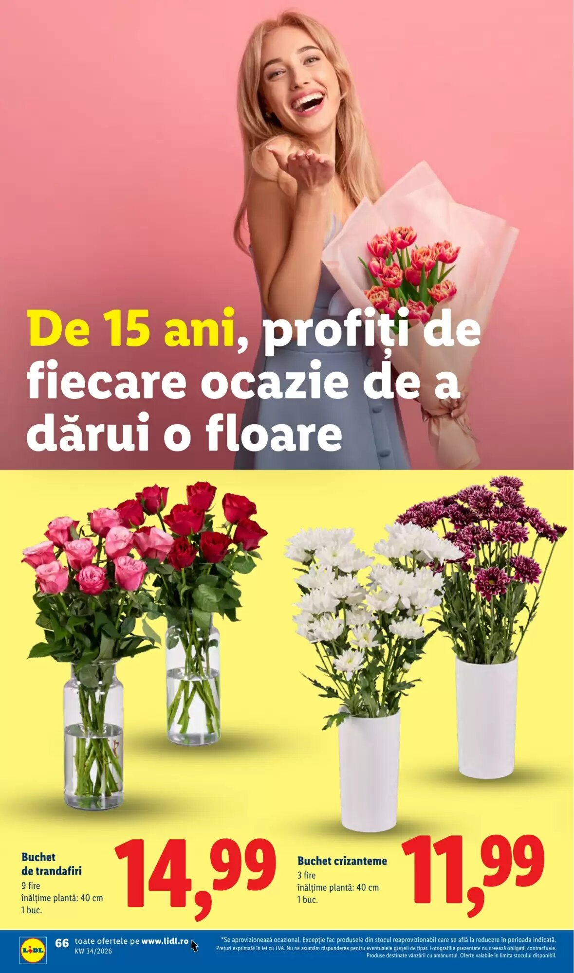 Catalogul cu oferte Lidl valabil de la 17.08.2026 - Pagina 66.
